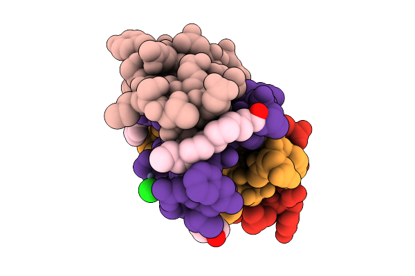 25HL image