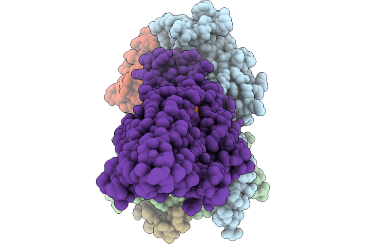 25NX image