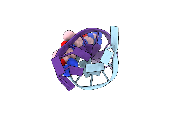 261D image