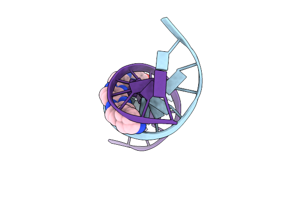 263D image