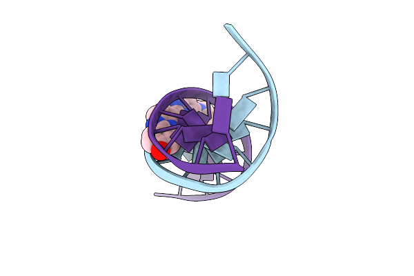 264D image