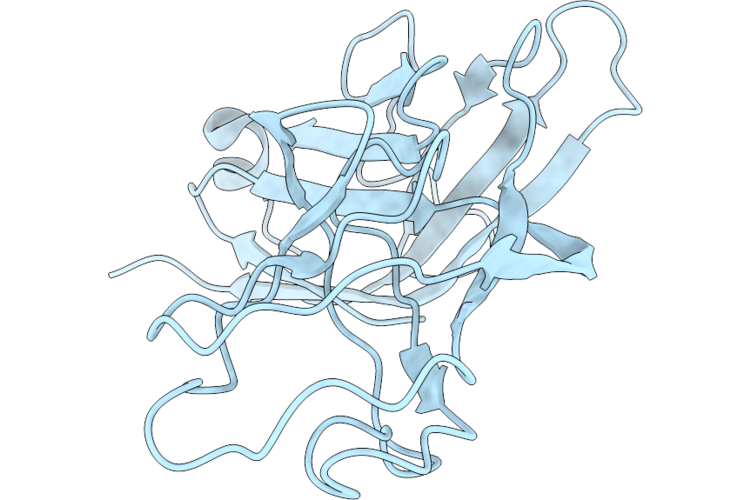 26DK image