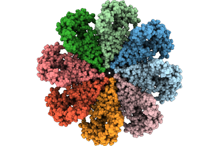 26GS image