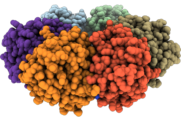 26QX image