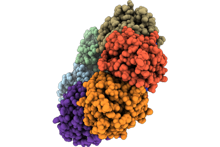 26RC image