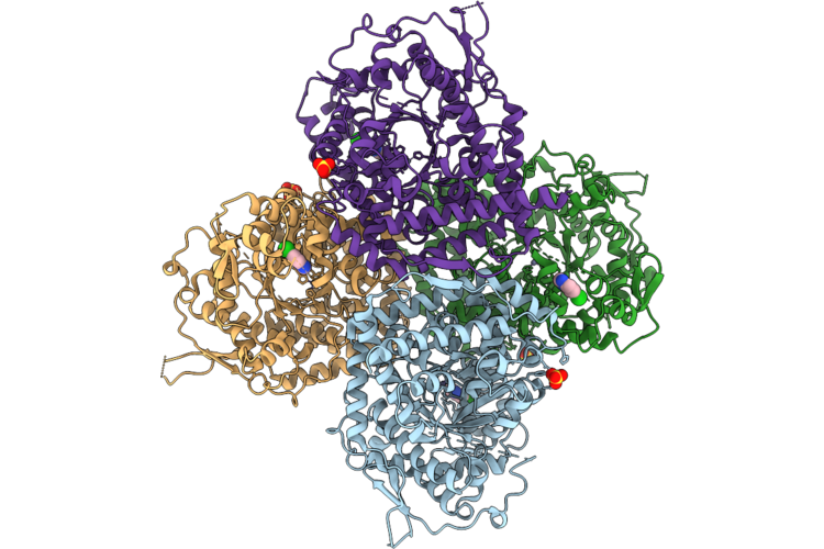 26XC image