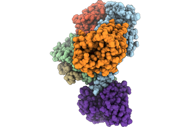 26XH image
