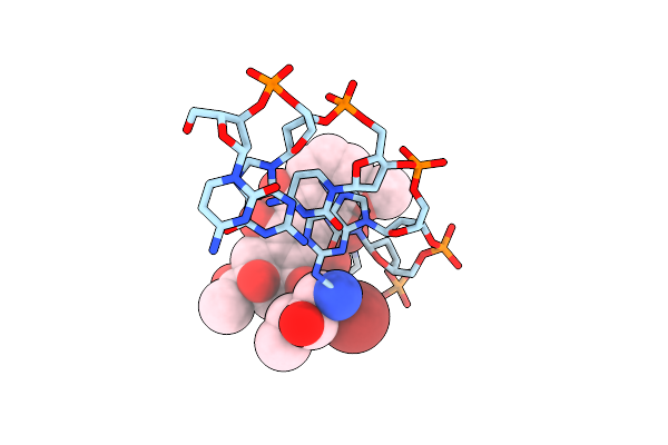 277D image