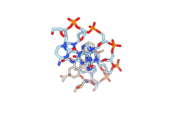 278D image