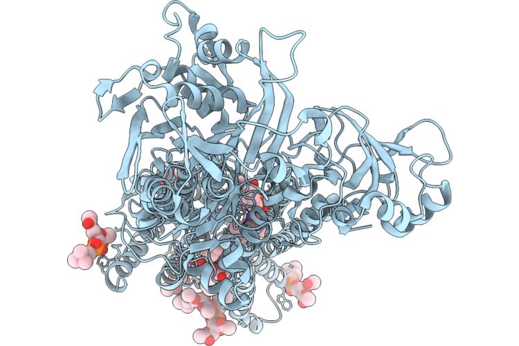 27RC image