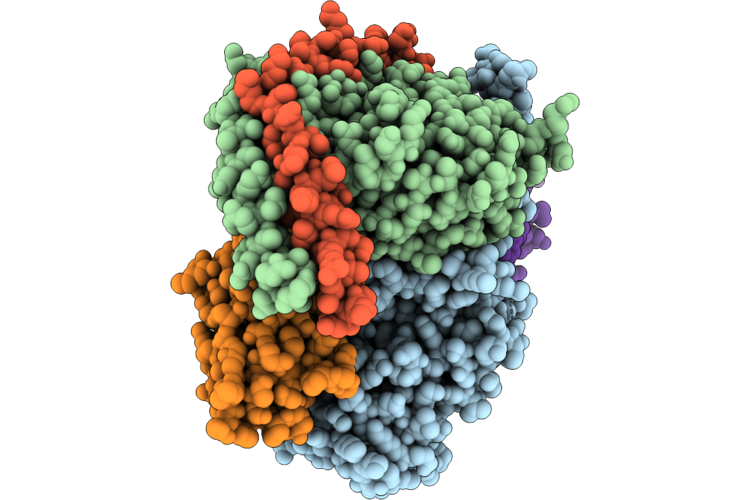 27XK image