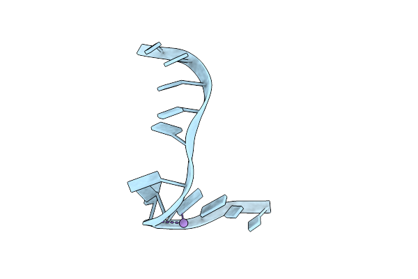 283D image