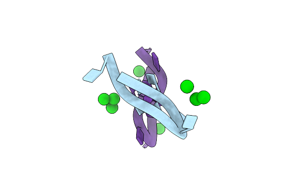 284D image