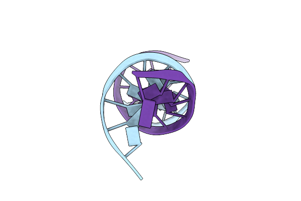 287D image