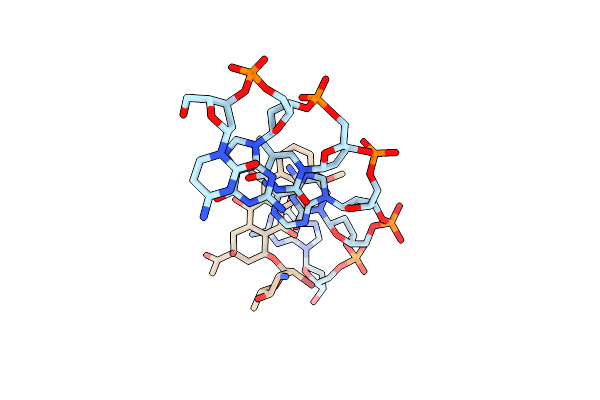 288D image