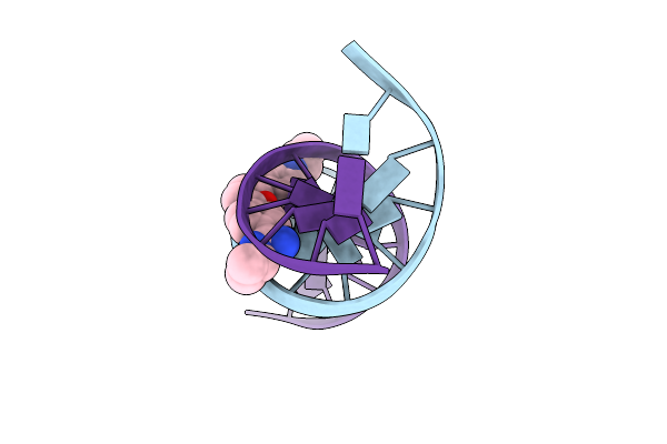 289D image