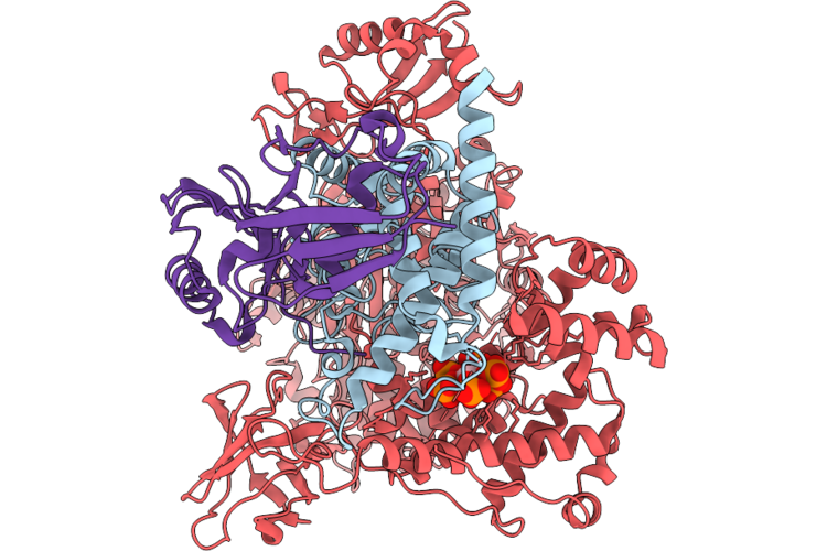 28MQ image