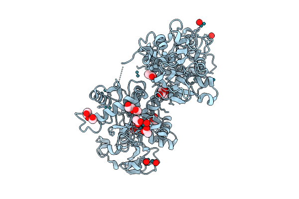 28MS image