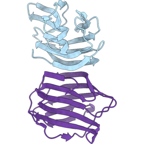 28RK image