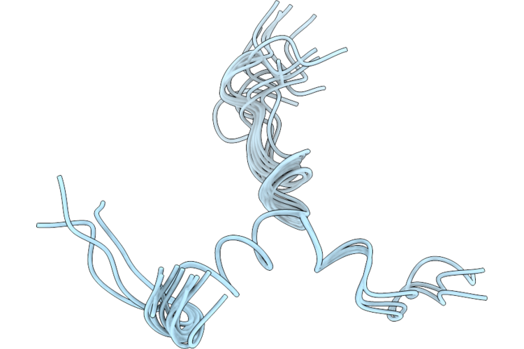 28TG image