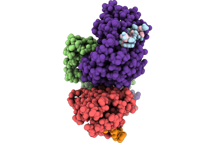 28XB image