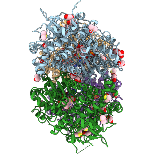 28ZP image