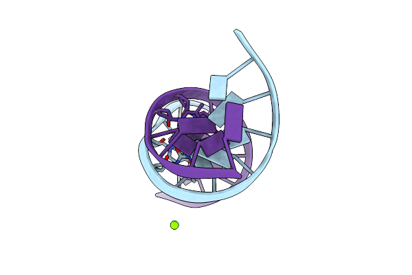 291D image