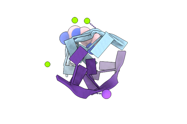 292D image