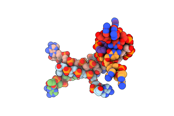 294D image