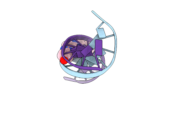 296D image
