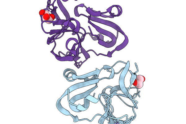 29JC image