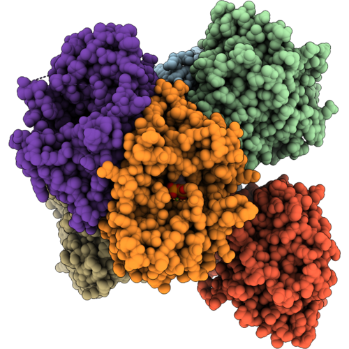 29MQ image