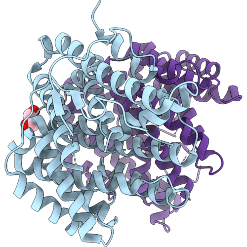 29MS image