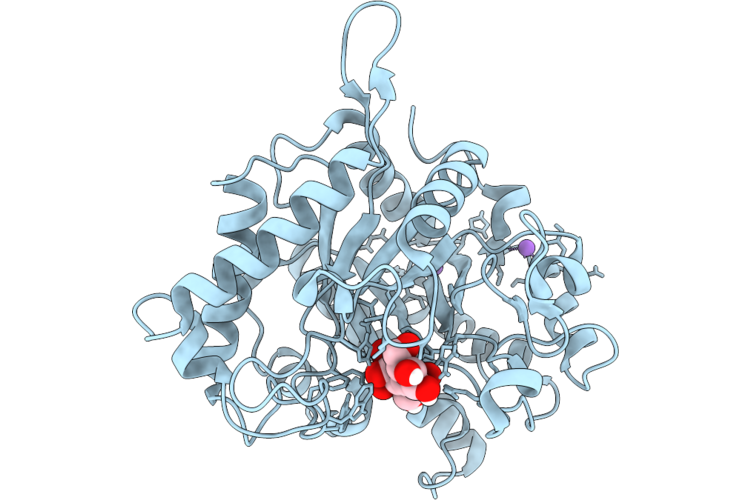 29QD image