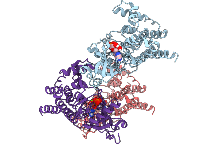 29RX image