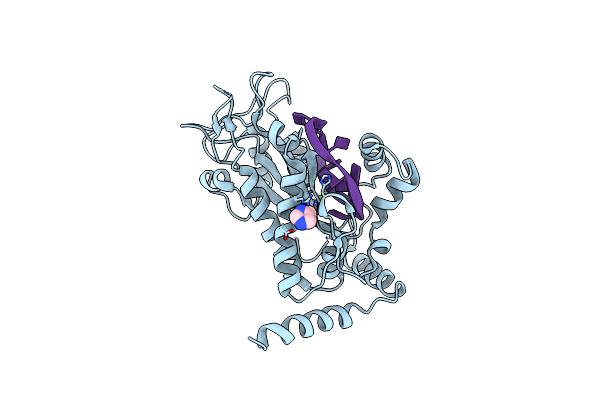 2A0I image