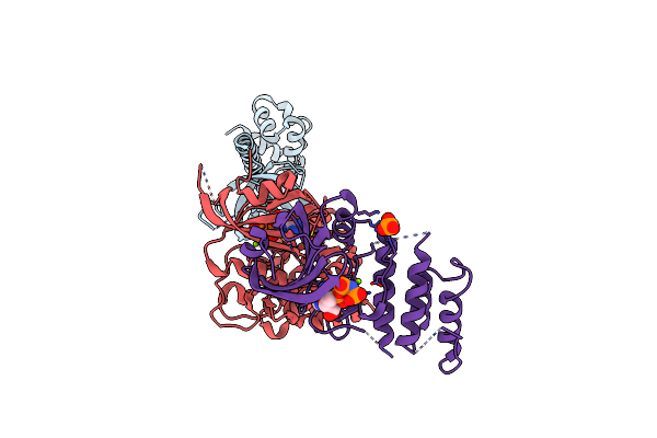 2A19 image