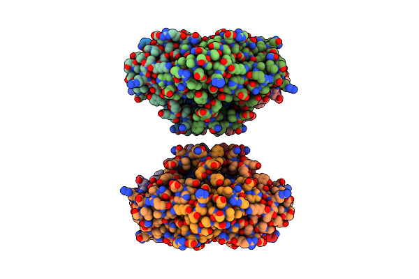 2A1B image