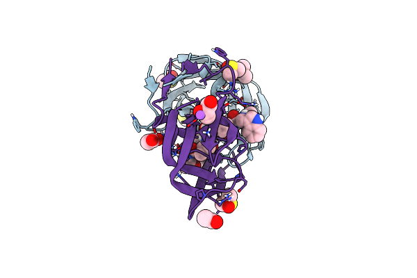 2A1E image
