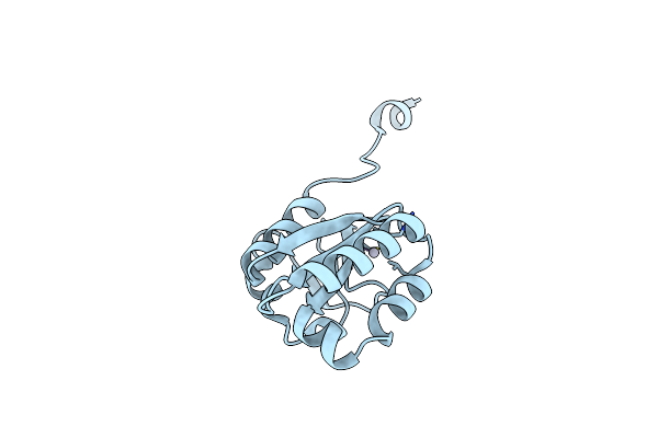 2A1I image