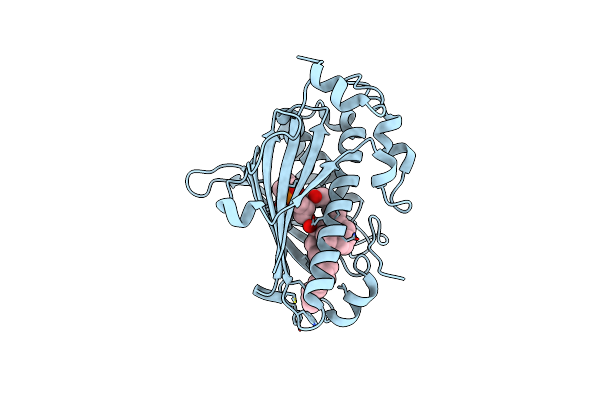 2A1L image