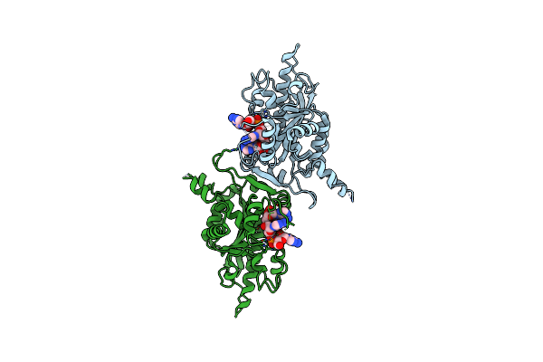 2A1R image
