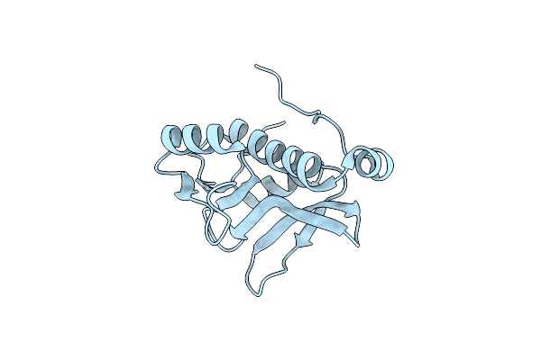 2A1V image