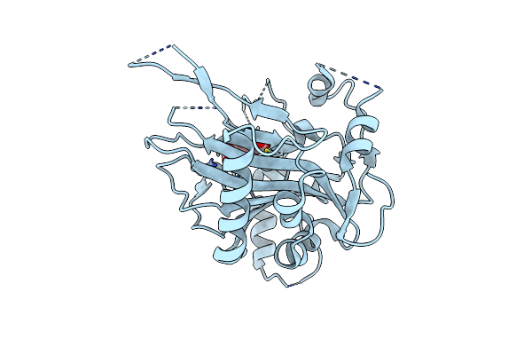 2A1X image