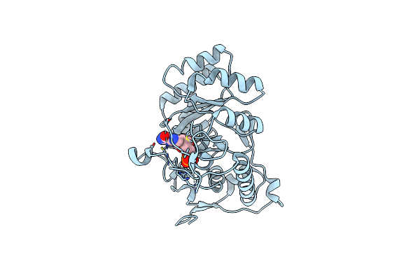 2A1Y image
