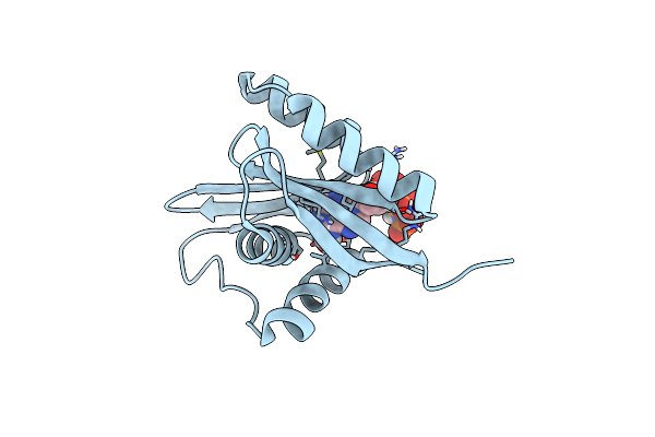 2A29 image