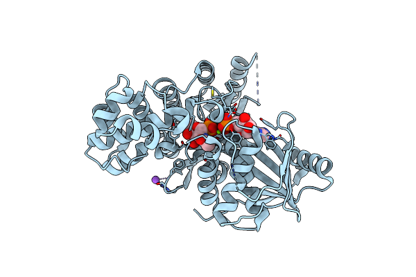 2A2C image