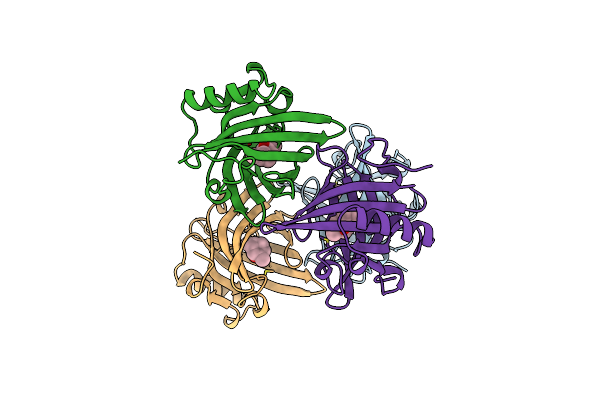 2A2G image