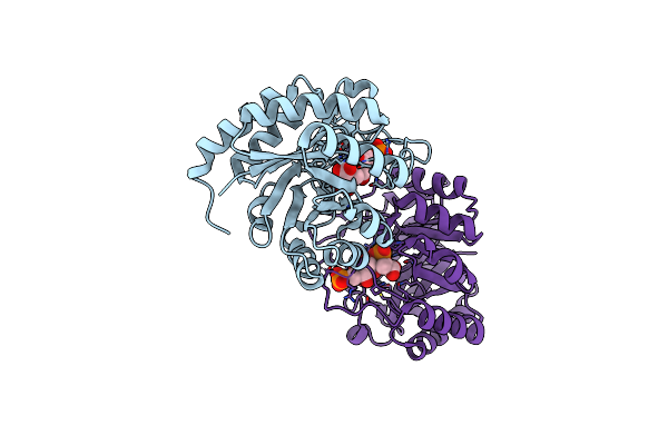 2A2I image