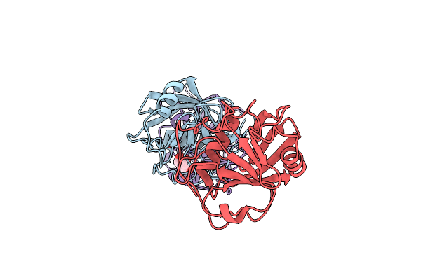 2A2N image